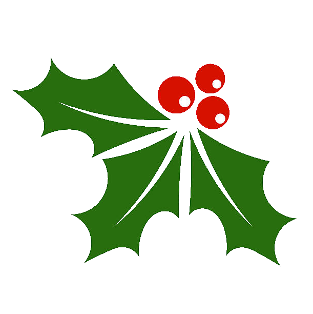 Hunter Mens Mule Slipper Black